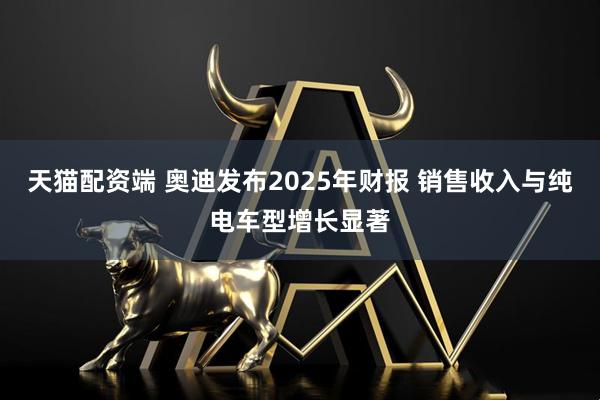 天猫配资端 奥迪发布2025年财报 销售收入与纯电车型增长显著