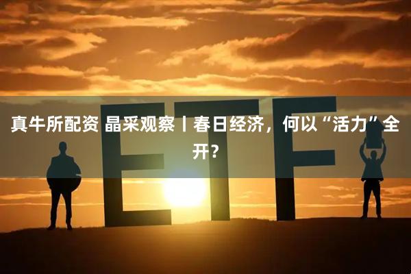 真牛所配资 晶采观察丨春日经济，何以“活力”全开？